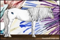 Horse Color:Silver Bay Tobiano Blanket 
