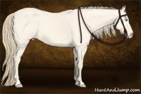 Horse Color:Perlino Dun