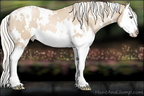 Horse Color:White Spotted Palomino Pearl Splash 