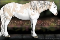 Horse Color:White Spotted Palomino Pearl Splash