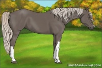 Horse Color:Silver Black 