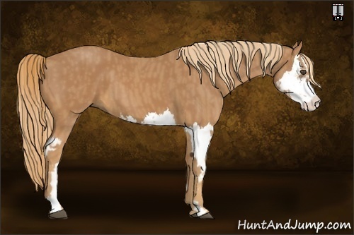 Horse Color:Chestnut Splash Frame  Brindle