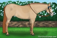 Horse Color:Red Dun Roan Splash Frame Rabicano