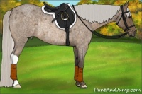 Horse Color:Silver Buckskin Roan Rabicano