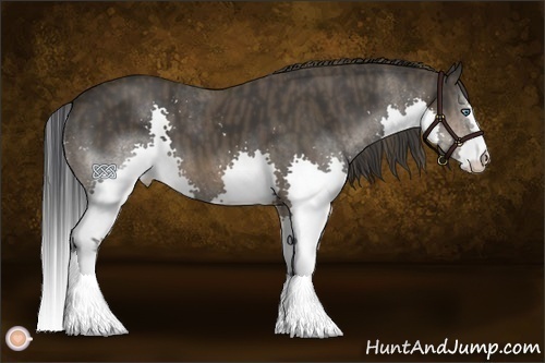 Horse Color:Brown Splash Rabicano  Brindle