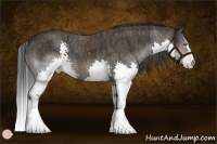 Horse Color:Brown Splash Rabicano  Brindle