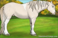 Horse Color:White Spotted Perlino Tobiano