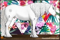 Horse Color:Chocolate Palomino Dun Appaloosa 