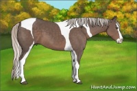 Horse Color:Silver Black Sabino Splash Tobiano