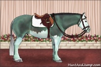 Horse Color:Brown Splash