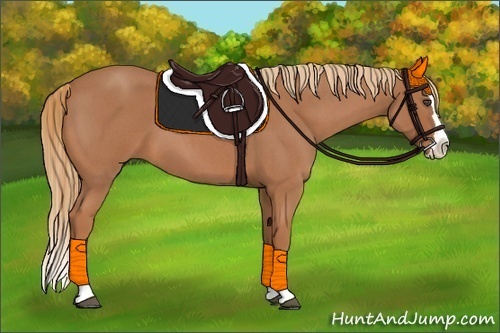 Horse Color:Red Roan Splash 