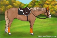 Horse Color:Red Roan Splash 