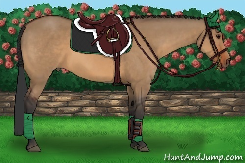 Horse Color:Bay Dun