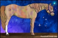 Horse Color:Nacre Chestnut 