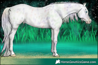 Horse Color:Nacre Silver Amber Cream Champagne Roan Pearl Dun Splash Tobiano Blanket Rabicano