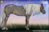 Horse Color:Liver Red Roan Rabicano 