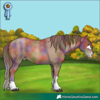Horse Color:Nacre Brown Pearl 