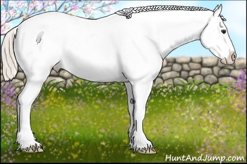 Horse Color:Chocolate Palomino Varnish 