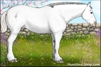 Horse Color:Chocolate Palomino Varnish 