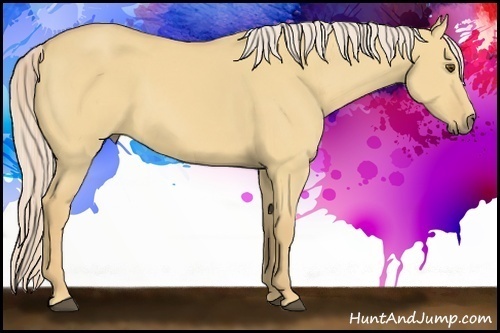 Horse Color:Palomino Dun 