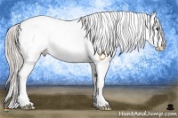 Horse Color:Silver Brown Frame Appaloosa 