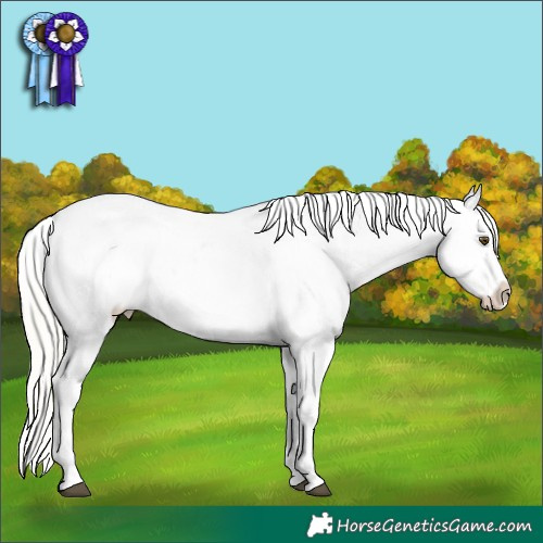 Horse Color:Silver Buckskin Roan Dun Blanket