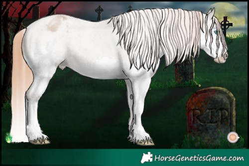 Horse Color:Grullo Pearl Splash Varnish 
