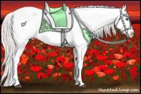 Horse Color:Silver Blue Roan Splash Frame Appaloosa