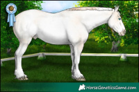 Horse Color:White Spotted Amber Cream Champagne Pearl Frame 