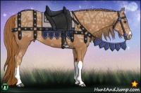 Horse Color:Chestnut Ice 