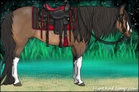 Horse Color:Buckskin Rabicano