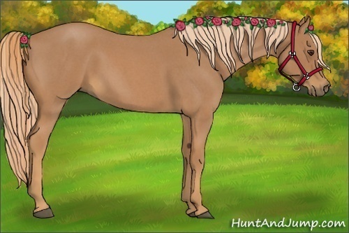 Horse Color:Red Roan
