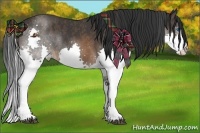 Horse Color:Brown Splash Rabicano  Brindle