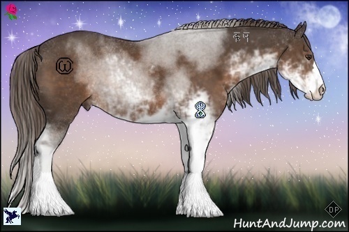 Horse Color:Liver Chestnut Sabino 