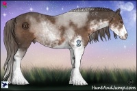 Horse Color:Liver Chestnut Sabino