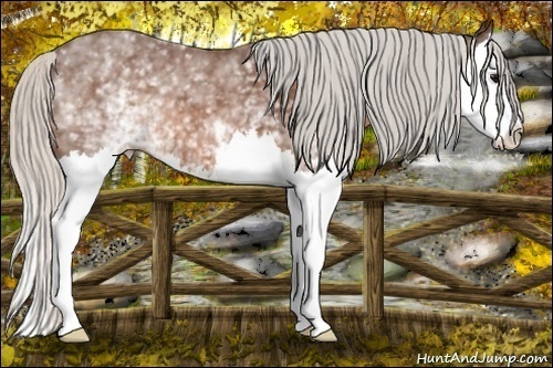 Horse Color:White Spotted Silver Brown Splash 