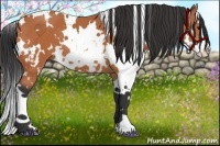 Horse Color:White Spotted Bay Splash Frame