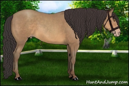 Horse Color:Sable Champagne 