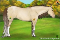 Horse Color:Brown Pearl Dun