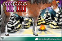 Horse Color:White Spotted Bay 