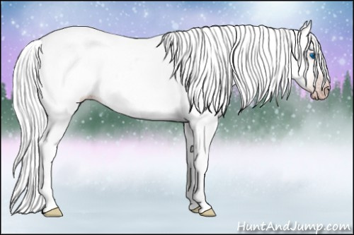 Horse Color:Gray Silver Amber Cream Champagne Roan Dun Splash Tobiano Frame Appaloosa Rabicano 