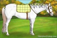 Horse Color:Chestnut Near Leopard 