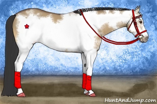 Horse Color:White Spotted Buckskin Dun Frame 
