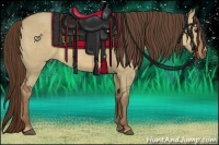 Horse Color:Liver Red Dun Sabino 