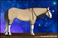 Horse Color:Bay Dun Splash 