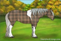 Horse Color:Plaid Silver Bay Tobiano