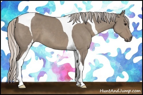 Horse Color:Silver Grullo Tobiano