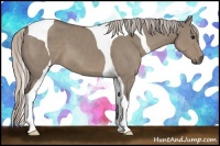 Horse Color:Silver Grullo Tobiano