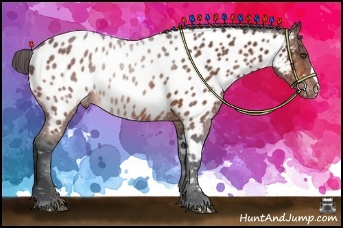 Horse Color:Bay Near Leopard Rabicano