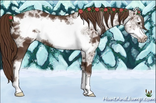 Horse Color:Liver Chestnut Ice Frame 